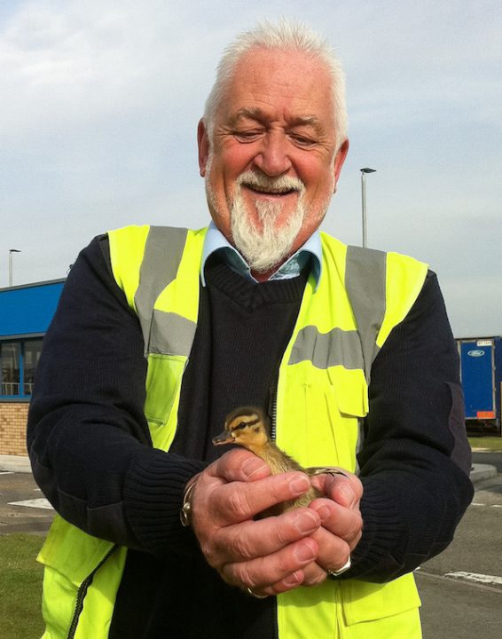 Stewart Webster with one of the ducklings he rescued