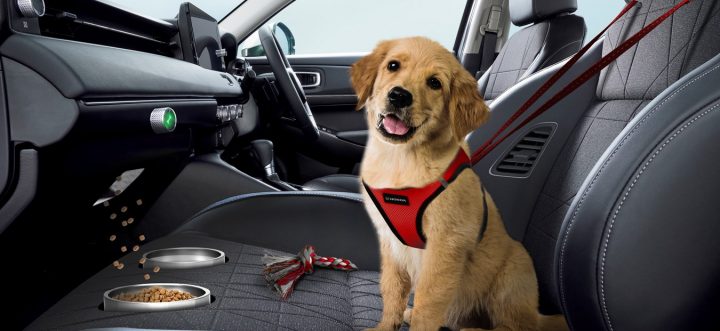 Honda lead with front seat for dogs