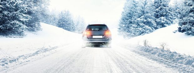 Winter is a wild time for motorists